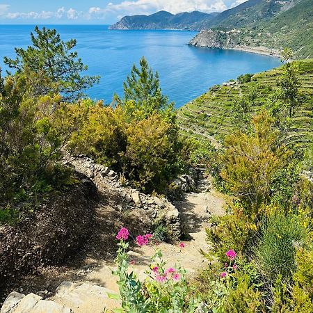 Apartament Al Castello Riomaggiore Zewnętrze zdjęcie